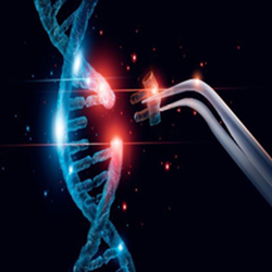 Cardiovascular Diseases & Therapeutics